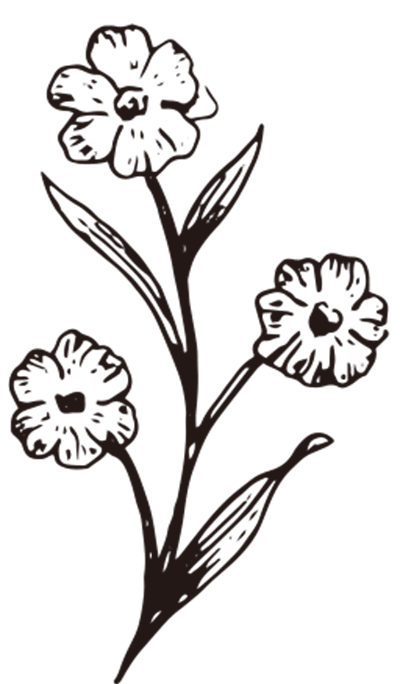 花 植物のイラスト 画像 イラスト 画像フリー素材 ラベル印刷net
